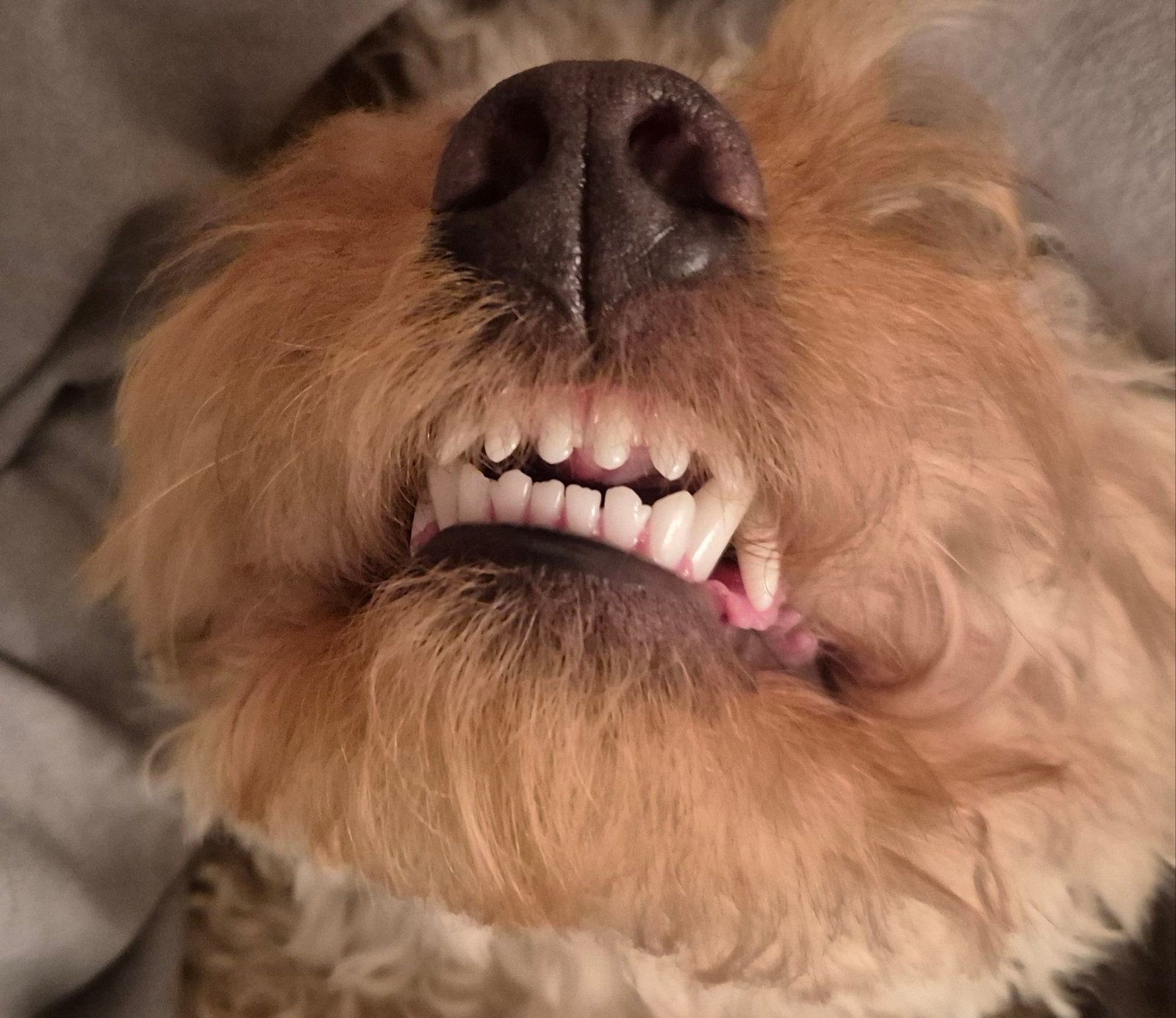 Smile For The Camera